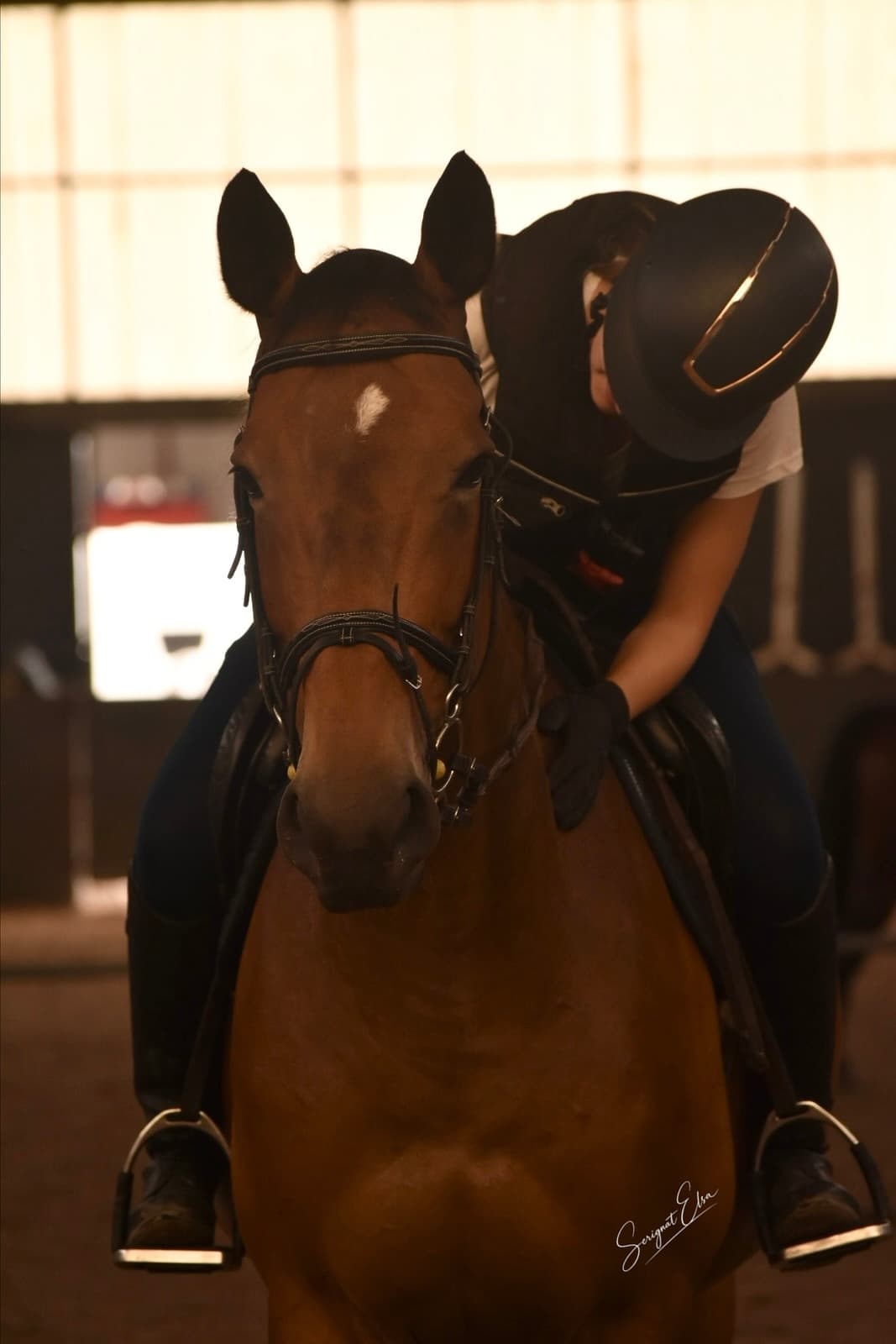 Découvrir l’équitation, un premier pas vers la complicité